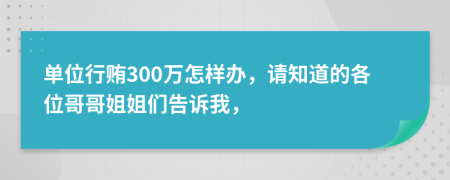 单位行贿300万怎样办，请知道的各位哥哥姐姐们告诉我，