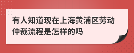 有人知道现在上海黄浦区劳动仲裁流程是怎样的吗