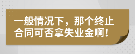 一般情况下，那个终止合同可否拿失业金啊！