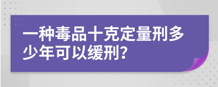 一种毒品十克定量刑多少年可以缓刑？