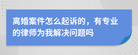 离婚案件怎么起诉的，有专业的律师为我解决问题吗