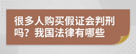 很多人购买假证会判刑吗？我国法律有哪些
