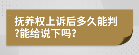 抚养权上诉后多久能判?能给说下吗？