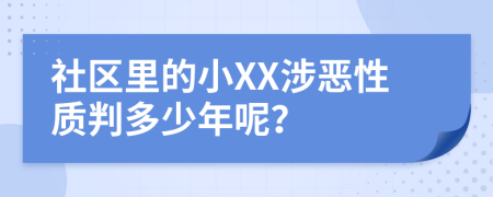 社区里的小XX涉恶性质判多少年呢？