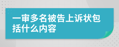 一审多名被告上诉状包括什么内容