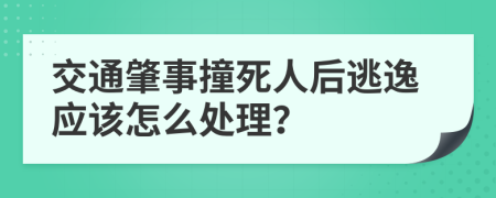 交通肇事撞死人后逃逸应该怎么处理？