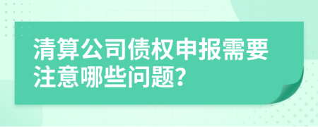 清算公司债权申报需要注意哪些问题？