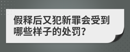 假释后又犯新罪会受到哪些样子的处罚？