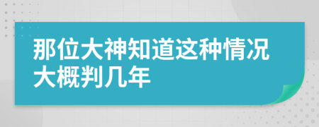 那位大神知道这种情况大概判几年