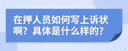 在押人员如何写上诉状啊？具体是什么样的？