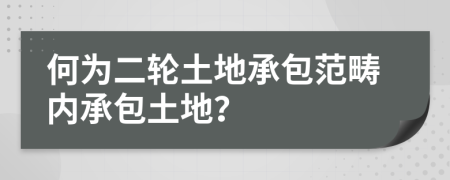 何为二轮土地承包范畴内承包土地？