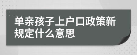 单亲孩子上户口政策新规定什么意思