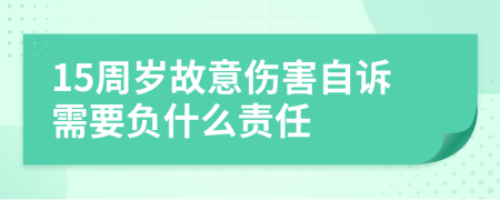 15周岁故意伤害自诉需要负什么责任