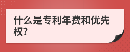 什么是专利年费和优先权？