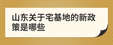 山东关于宅基地的新政策是哪些