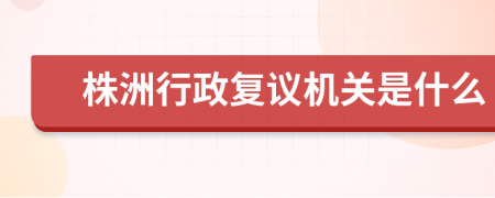 株洲行政复议机关是什么