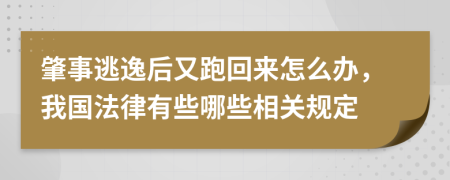 肇事逃逸后又跑回来怎么办，我国法律有些哪些相关规定