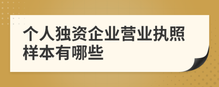 个人独资企业营业执照样本有哪些