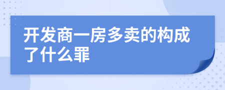 开发商一房多卖的构成了什么罪