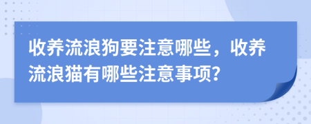 收养流浪狗要注意哪些，收养流浪猫有哪些注意事项？