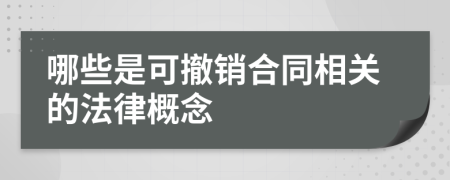 哪些是可撤销合同相关的法律概念