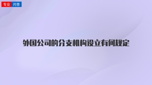 外国公司的分支机构设立有何规定