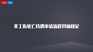 非工伤死亡待遇申请流程具体规定