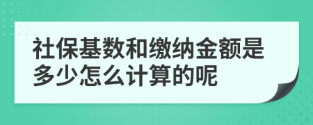 社保基数和缴纳金额是多少怎么计算的呢