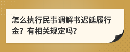 怎么执行民事调解书迟延履行金？有相关规定吗？