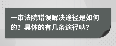 一审法院错误解决途径是如何的？具体的有几条途径呐？