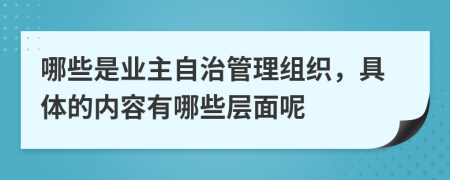 哪些是业主自治管理组织，具体的内容有哪些层面呢