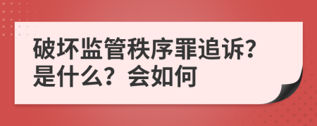 破坏监管秩序罪追诉？是什么？会如何