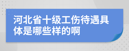 河北省十级工伤待遇具体是哪些样的啊