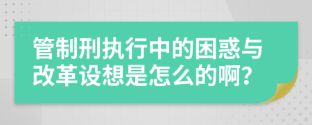 管制刑执行中的困惑与改革设想是怎么的啊？