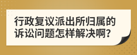 行政复议派出所归属的诉讼问题怎样解决啊？