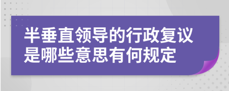 半垂直领导的行政复议是哪些意思有何规定