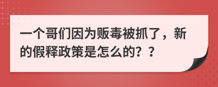 一个哥们因为贩毒被抓了，新的假释政策是怎么的？？