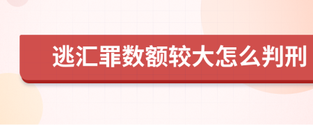 逃汇罪数额较大怎么判刑