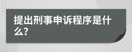 提出刑事申诉程序是什么？