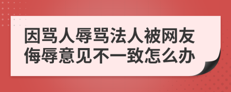 因骂人辱骂法人被网友侮辱意见不一致怎么办