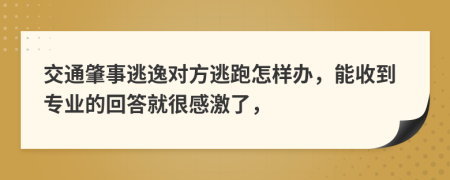 交通肇事逃逸对方逃跑怎样办，能收到专业的回答就很感激了，