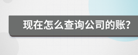 现在怎么查询公司的账？