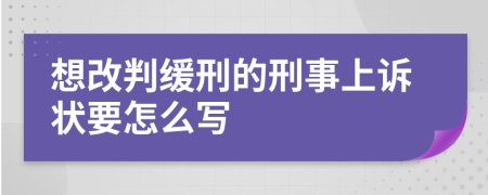 想改判缓刑的刑事上诉状要怎么写