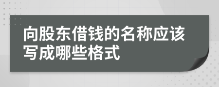 向股东借钱的名称应该写成哪些格式