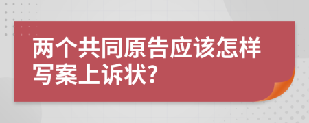 两个共同原告应该怎样写案上诉状?