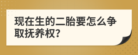 现在生的二胎要怎么争取抚养权？