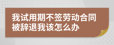 我试用期不签劳动合同被辞退我该怎么办