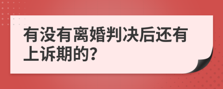 有没有离婚判决后还有上诉期的？