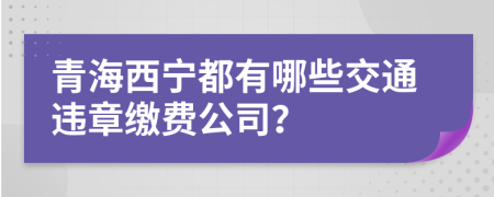 青海西宁都有哪些交通违章缴费公司？