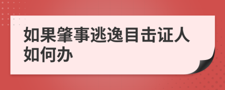 如果肇事逃逸目击证人如何办